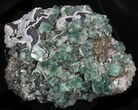 Rogerley Fluorite, Galena & Druzy Quartz, England #32395-1